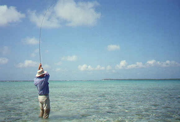 Fly Fishing in Placencia Belize