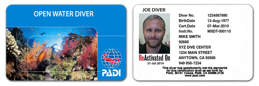 Padi water. Сертификат Padi open Water Diver. Дайвинг Padi сертификация. Padi OWD сертификат. Карточка Padi.