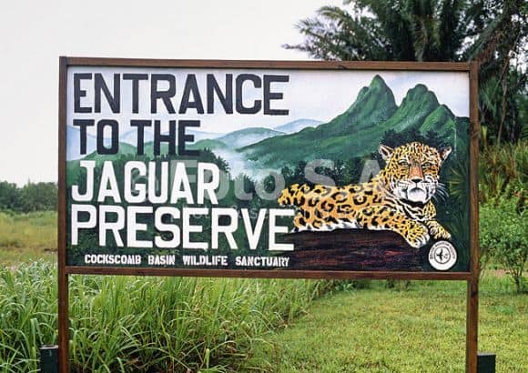 Jaguar Preserve Entrance