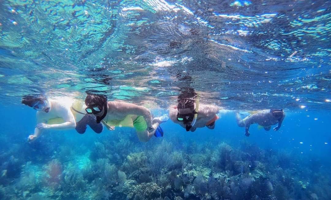 Placencia Snorkeling | Seahorse Dive Shop