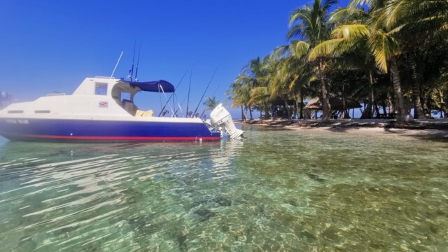 Little Blue at Moho Cyae